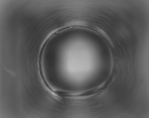 X0000053061339200507111142