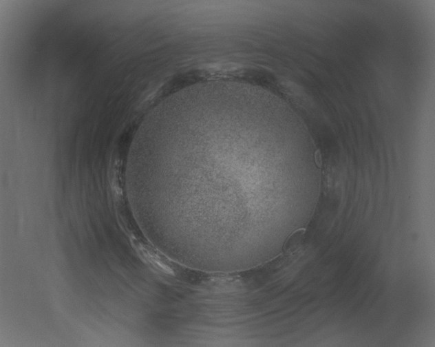 X0000053061346200507111141