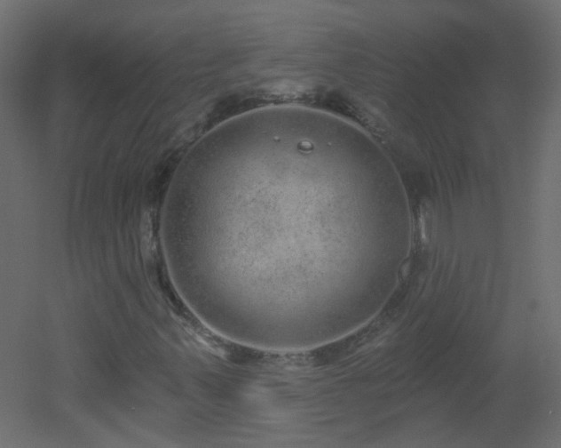 X0000053061347200507111141