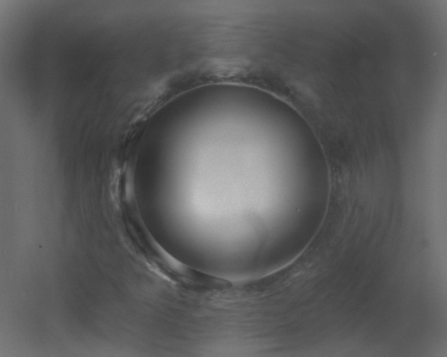 X0000053061349200507111141
