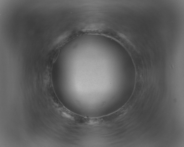 X0000053061350200507111141