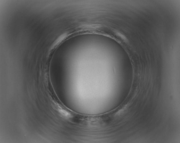 X0000053061354200507111141