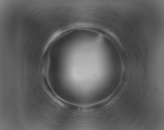 X0000053061365200507111141