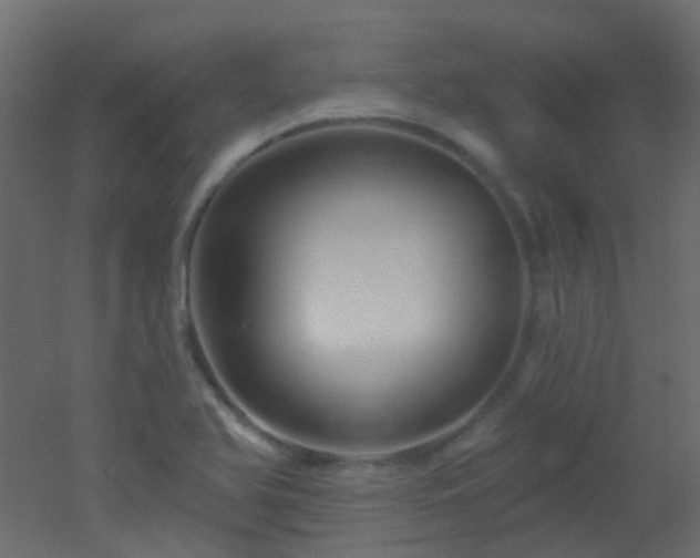 X0000053061366200507111141