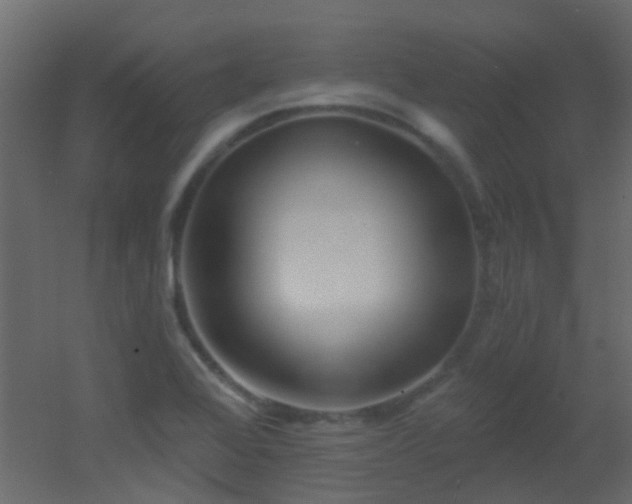 X0000053061368200507111141