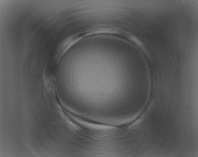 X0000053061369200507111141