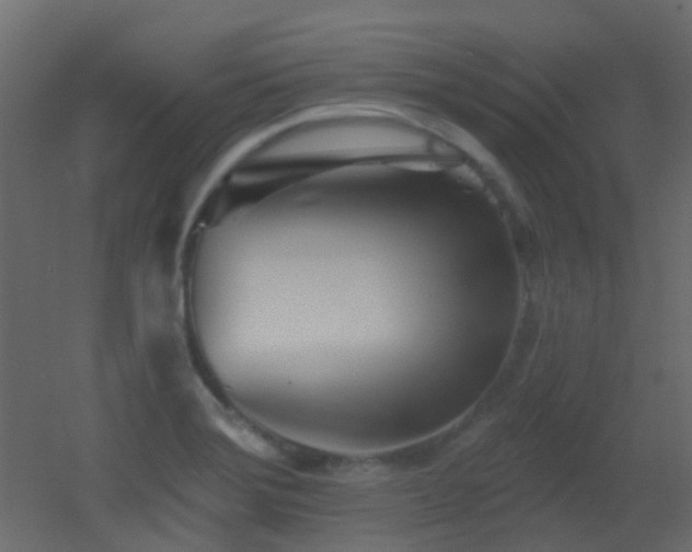 X0000053061372200507111141