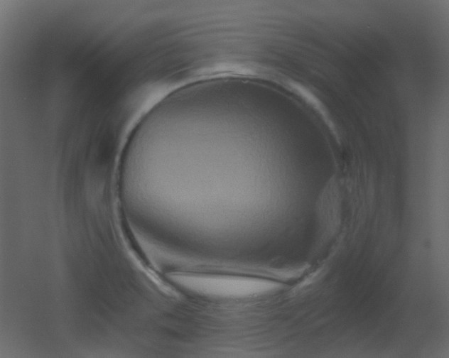 X0000053061373200507111141