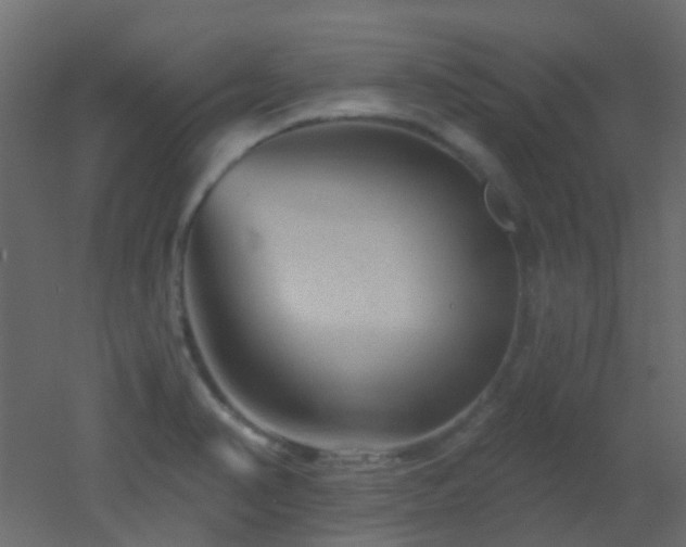 X0000053061374200507111141