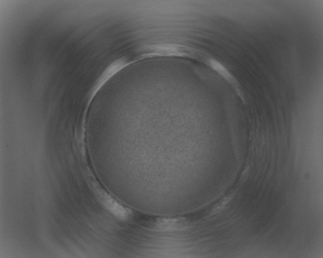 X0000053061378200507111141