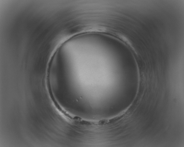 X0000053061379200507111141