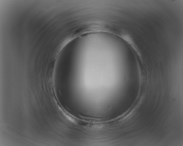 X0000053061385200507111141