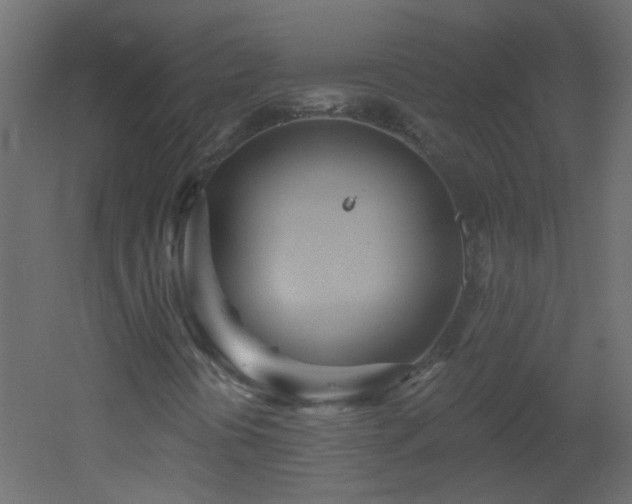 X0000053061394200507111140
