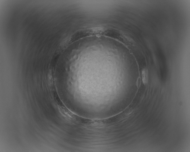 X0000053061395200507111140