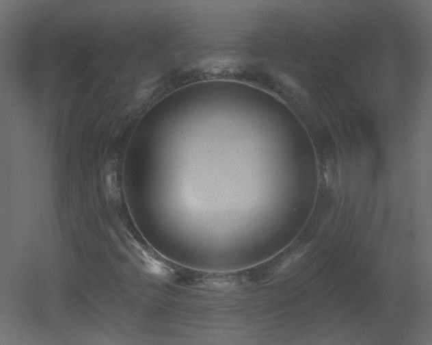 X0000053061396200507111140
