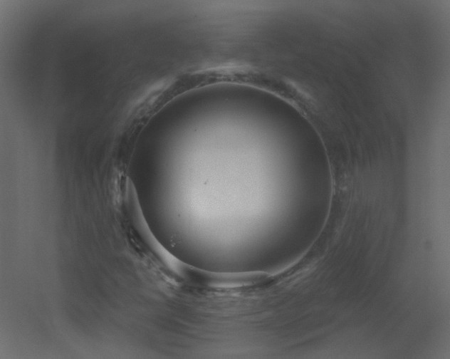 X0000053061398200507111140