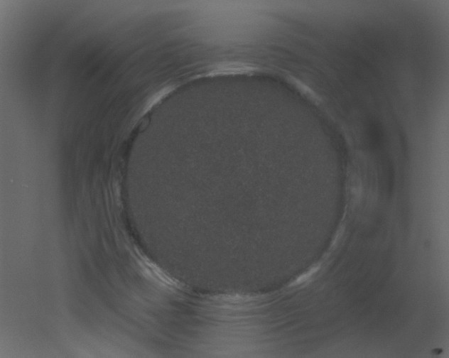X0000053061401200507111140