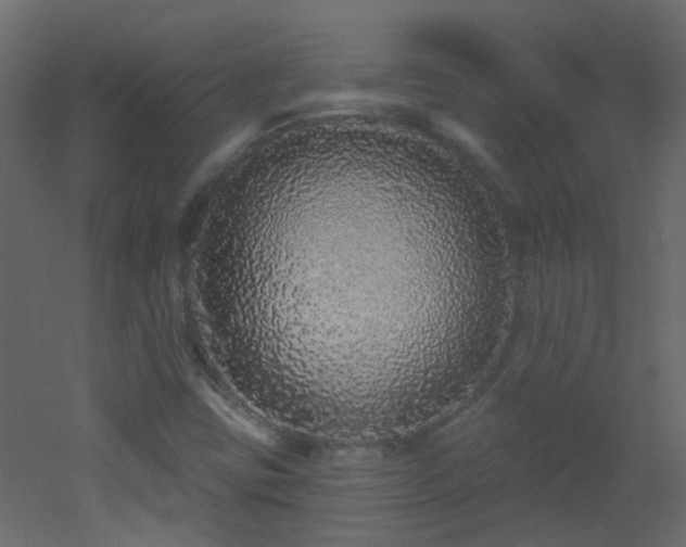 X0000053061403200507111140
