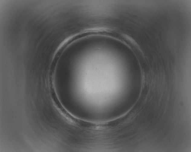 X0000053061412200507111140