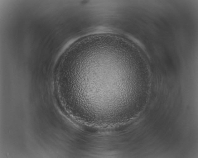 X0000053061415200507111140