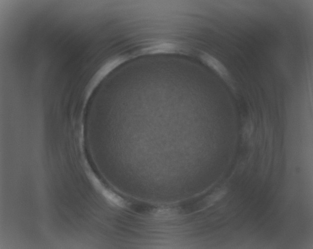 X0000053061418200507111140