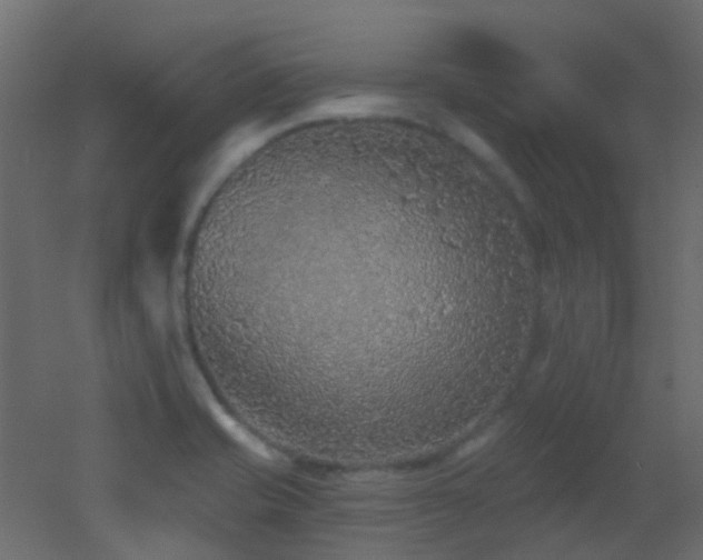 X0000053061421200507111140