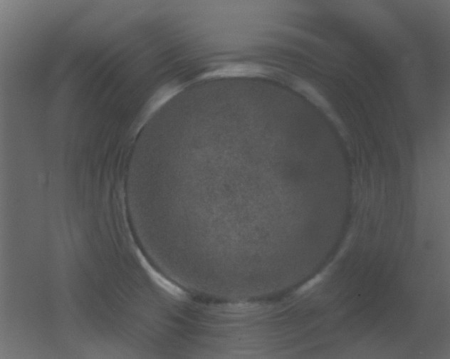 X0000053061425200507111140