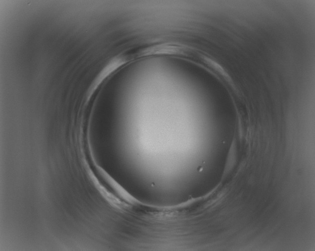 X0000053061426200507111140