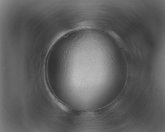 X0000053061431200507111140