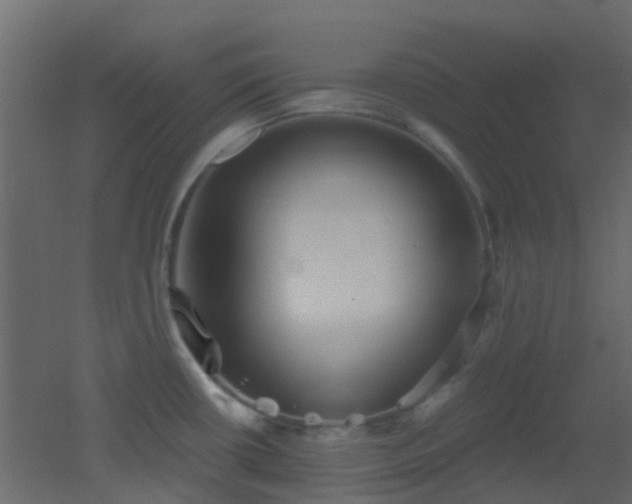 X0000053061434200507111140