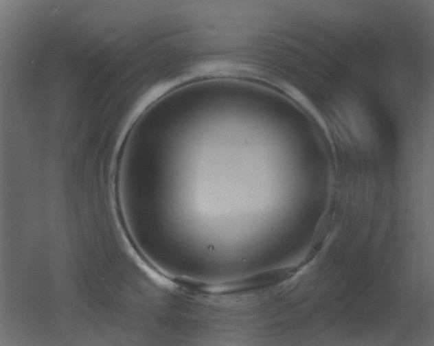 X0000053061437200507111140