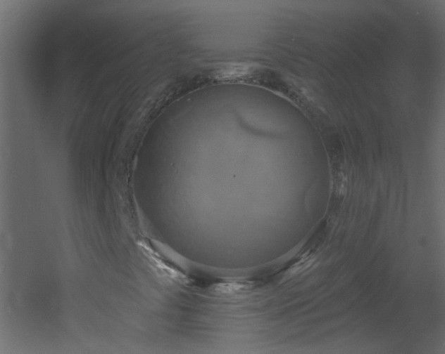 X0000053061441200507111140
