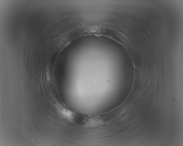 X0000053061442200507111140