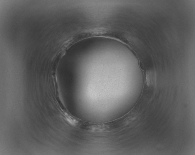 X0000053061444200507111140