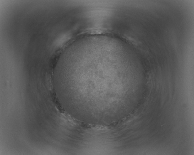 X0000053061446200507111140