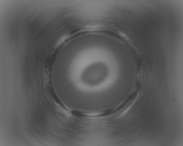 X0000053061449200507111140