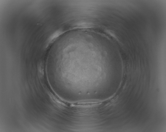 X0000053061451200507111140
