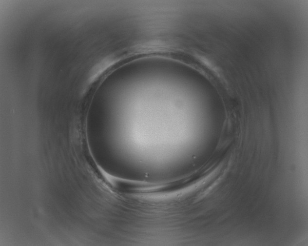X0000053061453200507111139