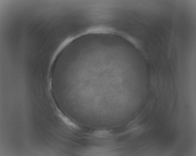 X0000053061462200507111139