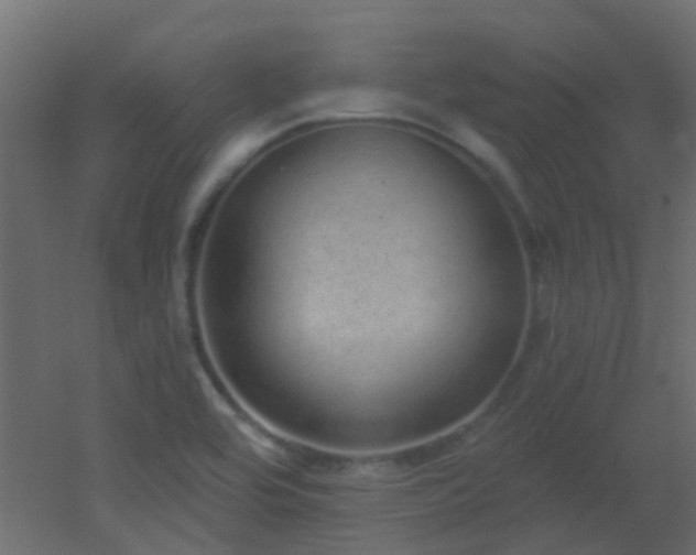 X0000053061464200507111139