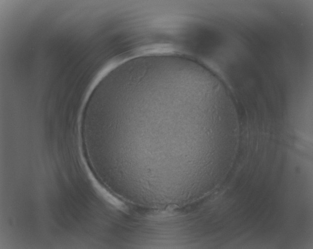 X0000053061475200507111139