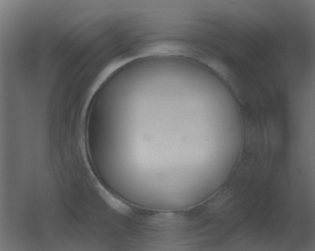 X0000053061478200507111139