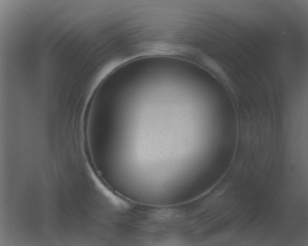 X0000053061479200507111139