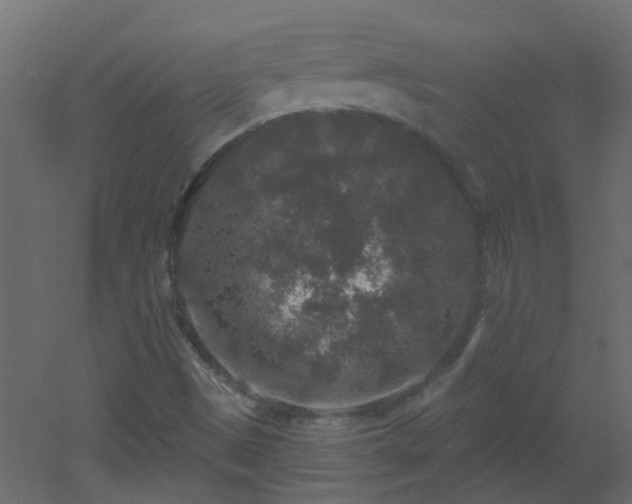 X0000053061497200507111138