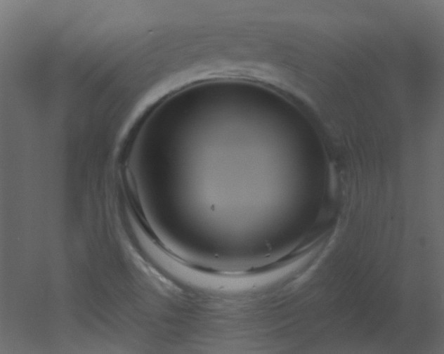 X0000053061506200507111138