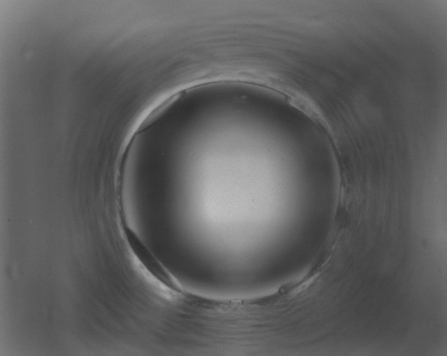X0000053061532200507111139