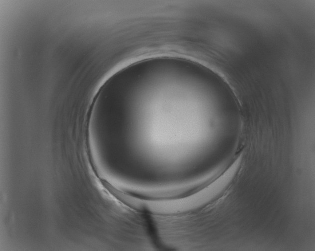 X0000053061534200507111139