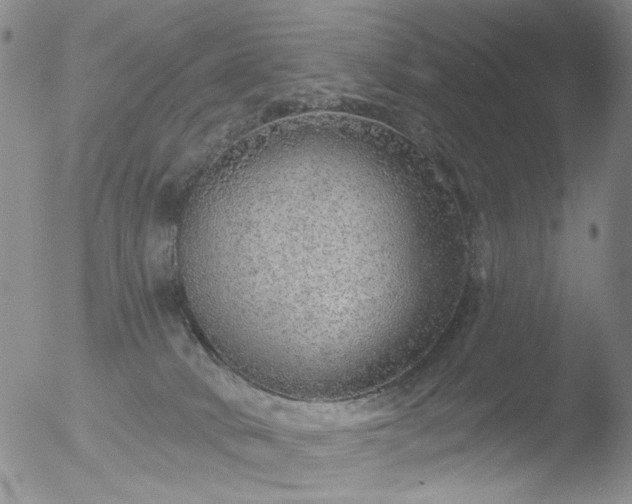 X0000053060034200507181611