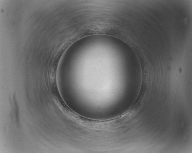 X0000053060040200507181611
