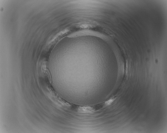X0000053060137200507181610